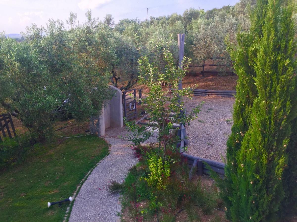 Sea View Villa In Olive Garden Nea Kallikrateia Exterior photo